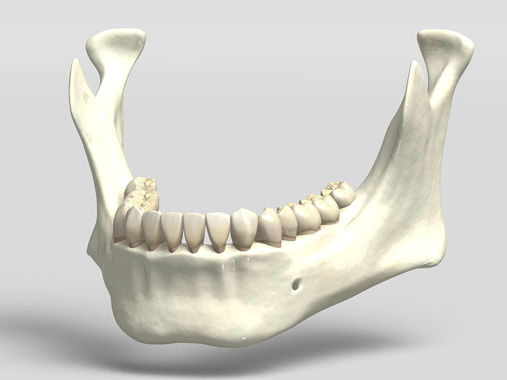 骨の痩せを防げる